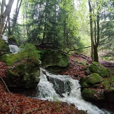 La Fortance Paradis Naturel - Proche De La Ville Planfoy Exteriör bild