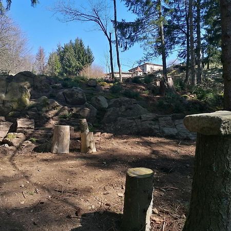 La Fortance Paradis Naturel - Proche De La Ville Planfoy Exteriör bild