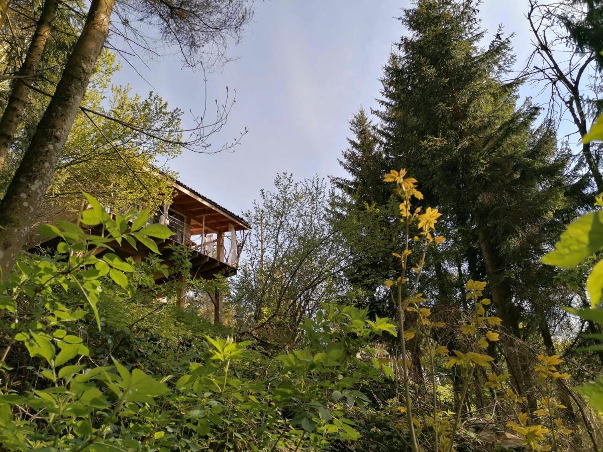 La Fortance Paradis Naturel - Proche De La Ville Planfoy Exteriör bild