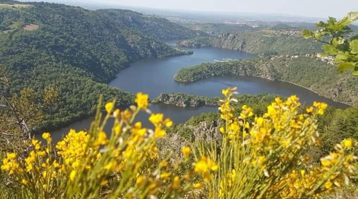 La Fortance Paradis Naturel - Proche De La Ville Planfoy Exteriör bild