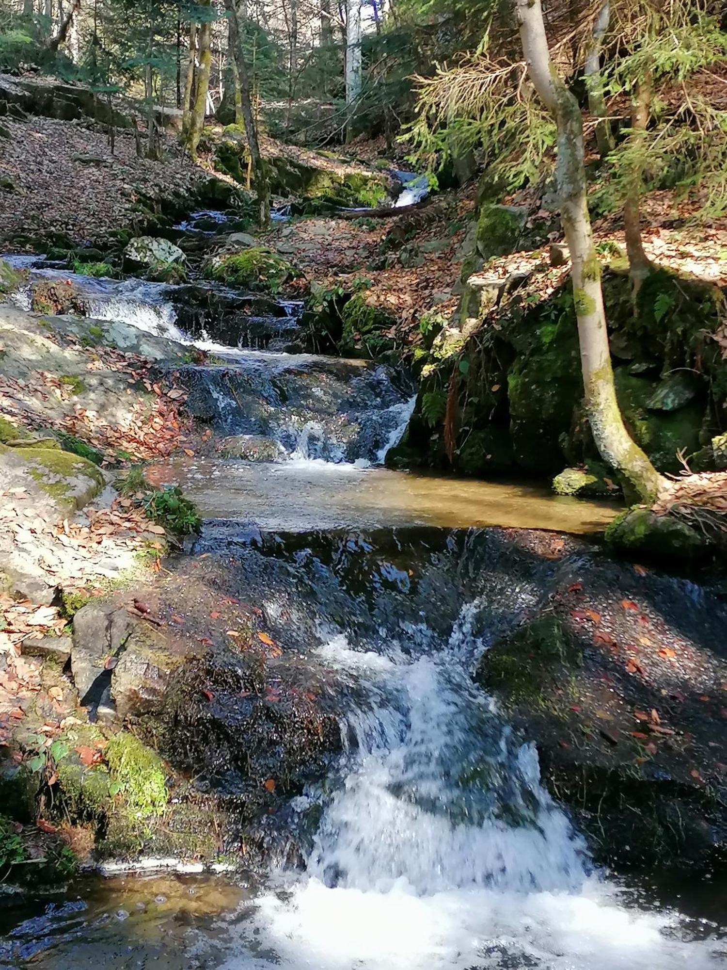 La Fortance Paradis Naturel - Proche De La Ville Planfoy Exteriör bild