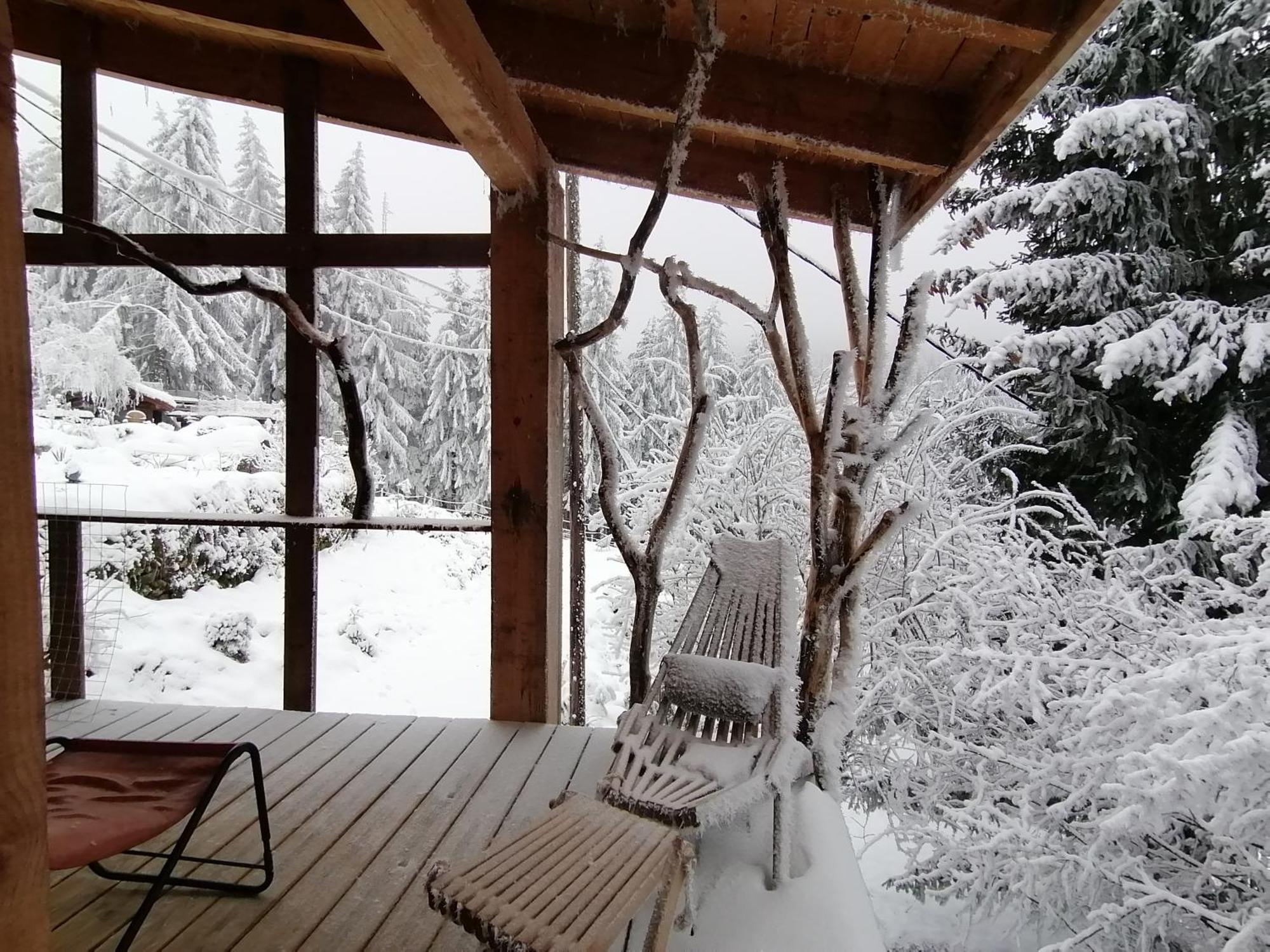 La Fortance Paradis Naturel - Proche De La Ville Planfoy Exteriör bild