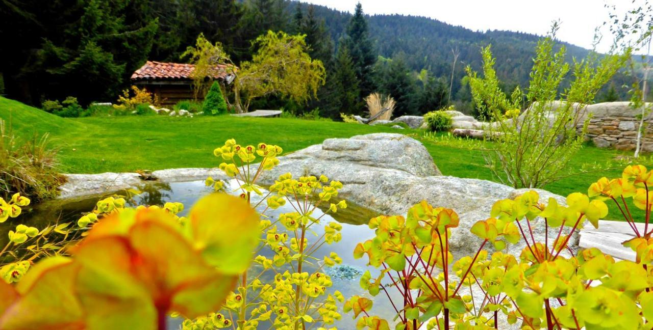 La Fortance Paradis Naturel - Proche De La Ville Planfoy Exteriör bild