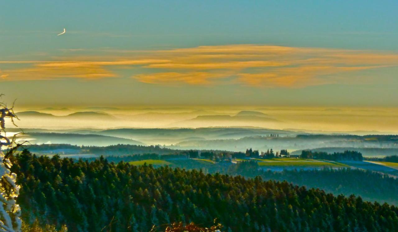 La Fortance Paradis Naturel - Proche De La Ville Planfoy Exteriör bild