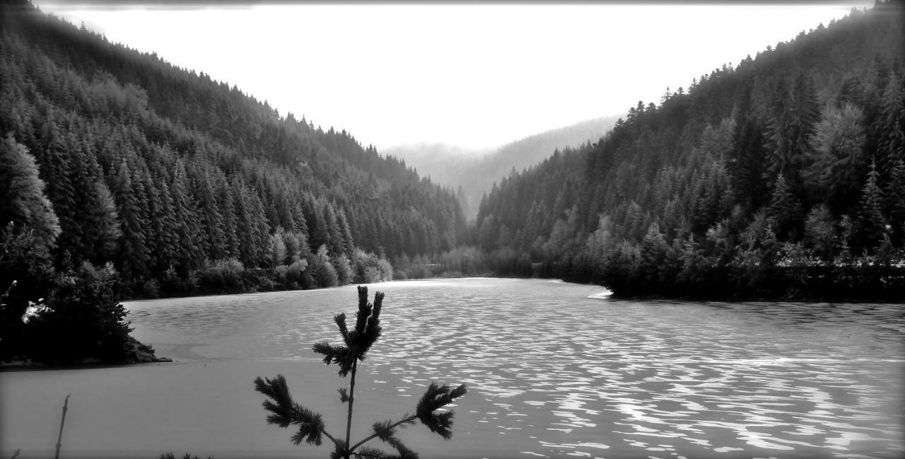 La Fortance Paradis Naturel - Proche De La Ville Planfoy Exteriör bild
