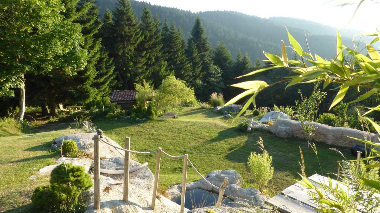 La Fortance Paradis Naturel - Proche De La Ville Planfoy Exteriör bild